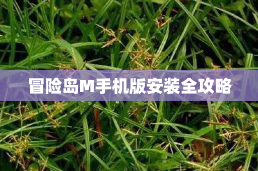 冒险岛M手机版安装全攻略图片