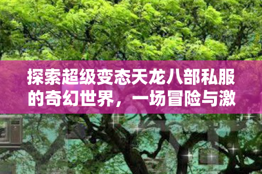 探索超级变态天龙八部私服的奇幻世界图片
