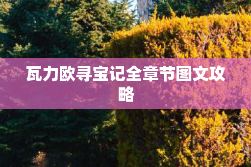 瓦力欧寻宝记全章节图文攻略图片