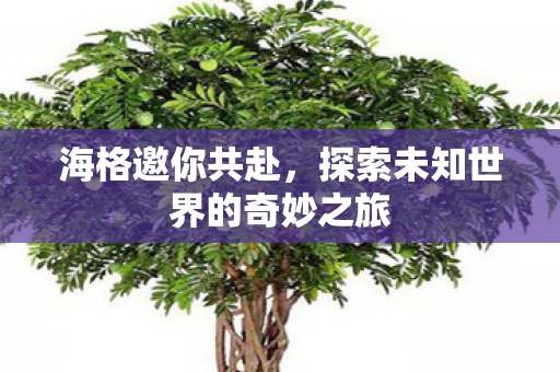 探索未知世界的奇妙之旅图片