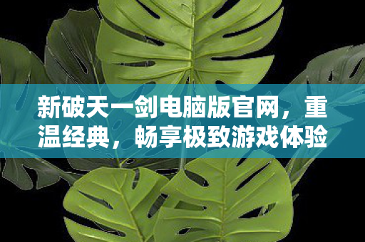 新破天一剑电脑版官网图片