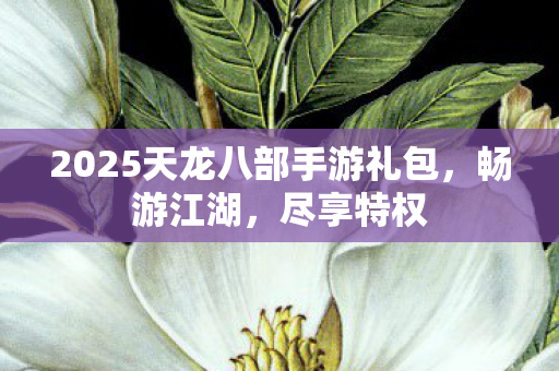 2025天龙八部手游礼包图片