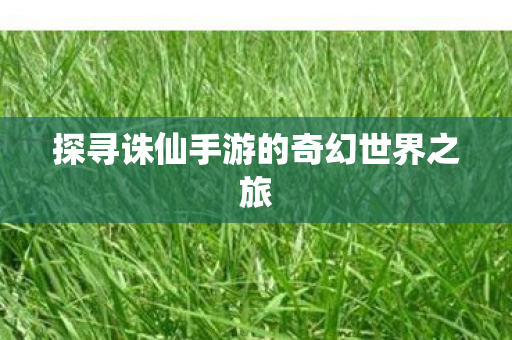探寻诛仙手游的奇幻世界之旅图片