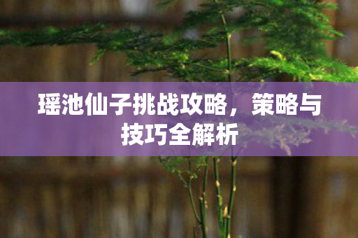 瑶池仙子挑战攻略图片