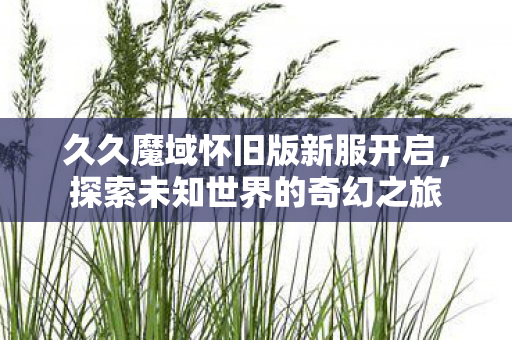 久久魔域怀旧版新服开启图片