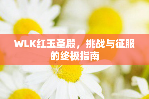 挑战与征服的终极指南图片