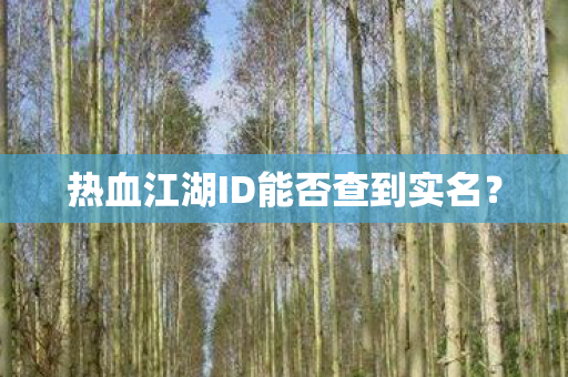 热血江湖ID能否查到实名图片