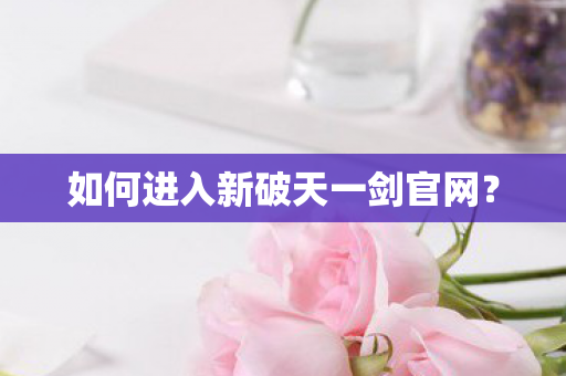 如何进入新破天一剑官网图片