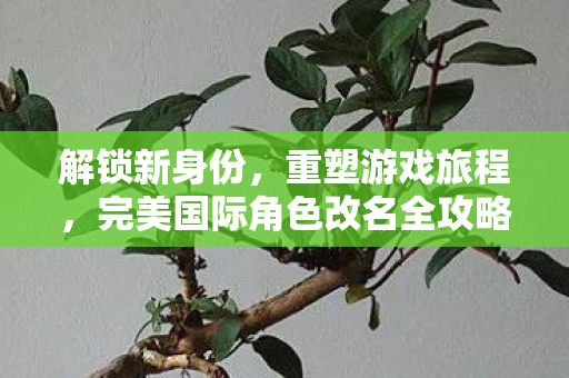 完美国际角色改名全攻略图片