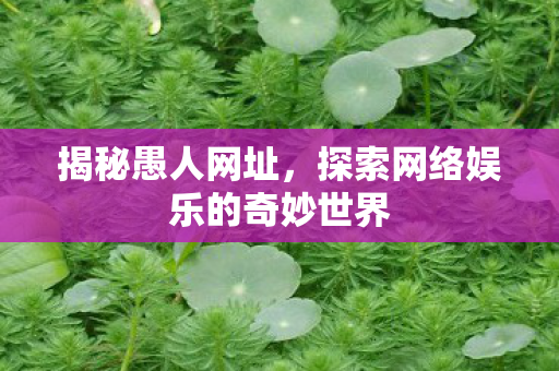 探索网络娱乐的奇妙世界图片