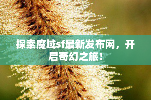 探索魔域sf最新发布网图片