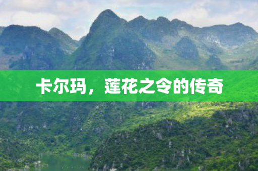 莲花之令的传奇图片