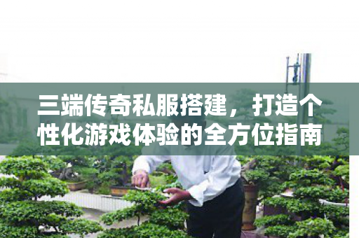 打造个性化游戏体验的全方位指南图片