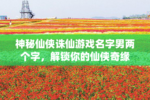神秘仙侠诛仙游戏名字男两个字图片