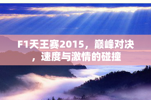F1天王赛2015图片