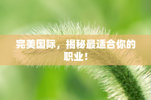 揭秘最适合你的职业图片