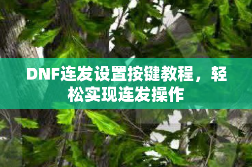 DNF连发设置按键教程图片