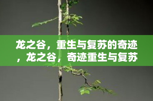 龙之谷,重生与复苏的奇迹,龙之谷,奇迹重生与复苏 龙之谷,重生与复苏的奇迹,龙之谷,奇迹重生与复苏