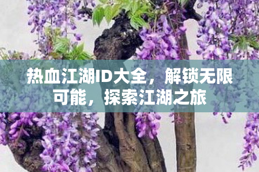 热血江湖ID大全图片