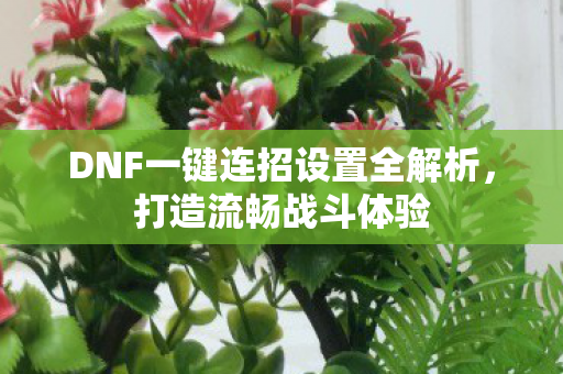 DNF一键连招设置全解析图片