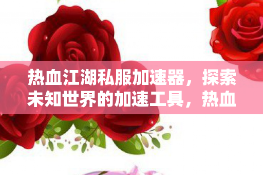 热血江湖私服加速器，探索未知世界的加速工具，热血江湖私服加速器，解锁未知世界的加速工具
