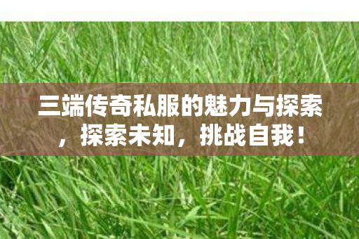 三端传奇私服的魅力与探索图片