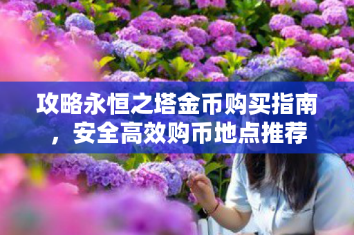 攻略永恒之塔金币购买指南图片