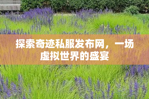 探索奇迹私服发布网图片