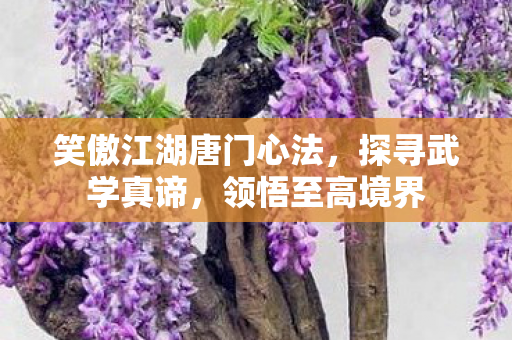 笑傲江湖唐门心法图片