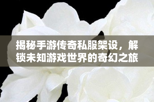 解锁未知游戏世界的奇幻之旅图片
