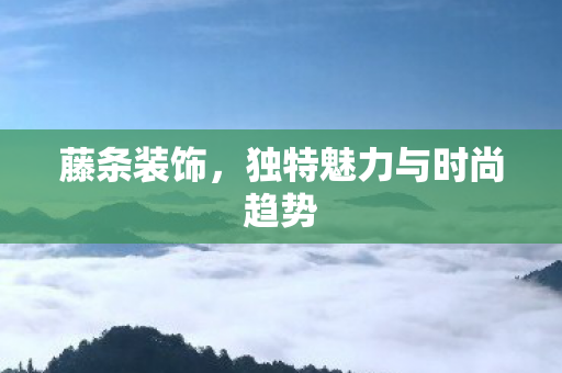 独特魅力与时尚趋势图片