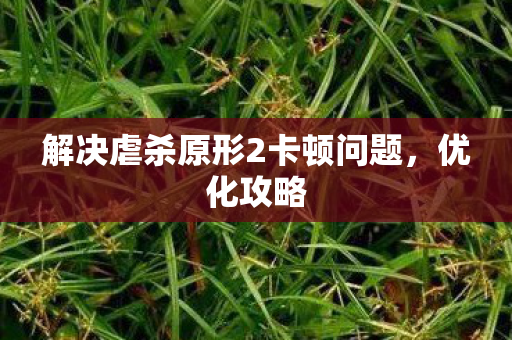 解决虐杀原形2卡顿问题图片