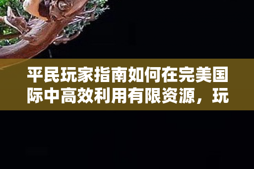 平民玩家指南如何在完美国际中高效利用有限资源图片