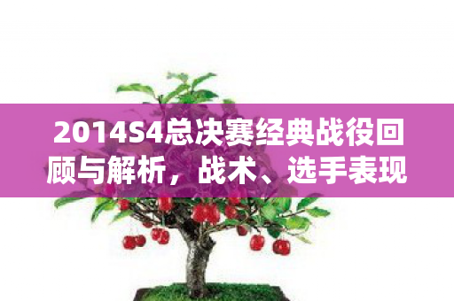 2014S4总决赛经典战役回顾与解析图片
