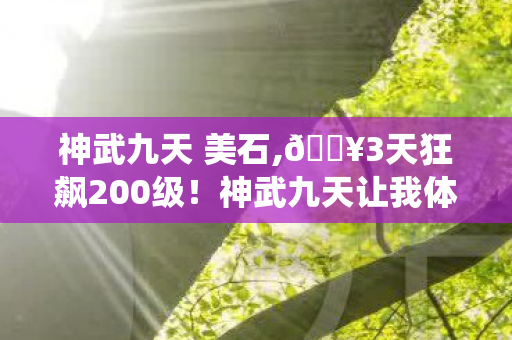 神武九天 美石,🔥3天狂飙200级!神武九天让我体验到修仙爽感天花板! 神武九天 美石,🔥3天狂飙200级!神武九天让我体验到修仙爽感天花板!