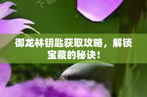 御龙林钥匙获取攻略图片