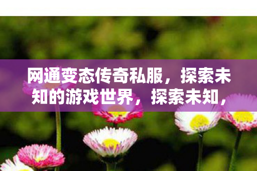 网通变态传奇私服游戏世界图片
