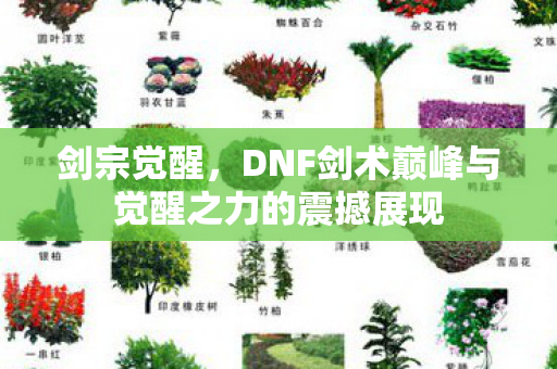 DNF剑术巅峰与觉醒之力的震撼展现图片