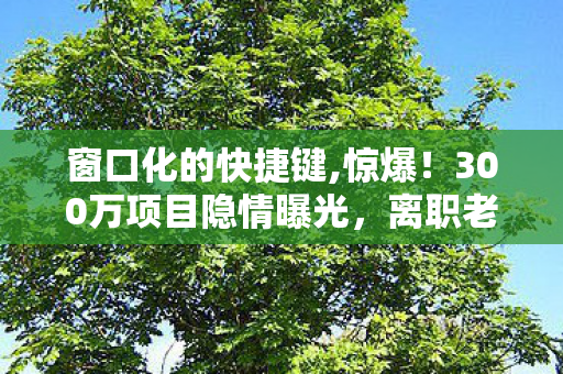 窗口化的快捷键,惊爆!300万项目隐情曝光,离职老兵拍桌怒吼,这操作真让人吓一跳! 窗口化的快捷键,惊爆!300万项目隐情曝光,离职老兵拍桌怒吼,这操作真让人吓一跳!
