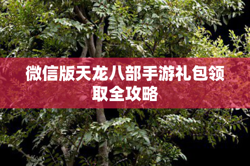 微信版天龙八部手游礼包领取全攻略图片