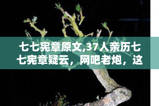 七七宪章原文,37人亲历七七宪章疑云,网吧老炮,这波我直接绷不住! 七七宪章原文,37人亲历七七宪章疑云,网吧老炮,这波我直接绷不住!
