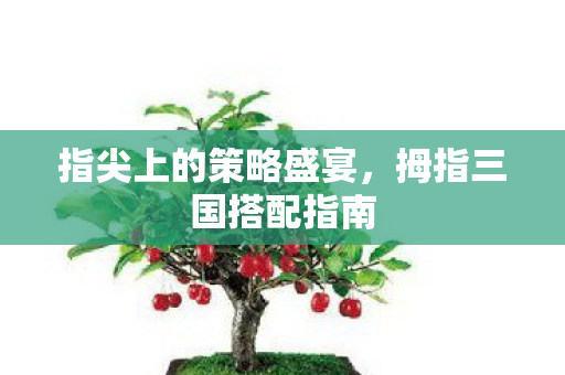 指尖上的策略盛宴图片