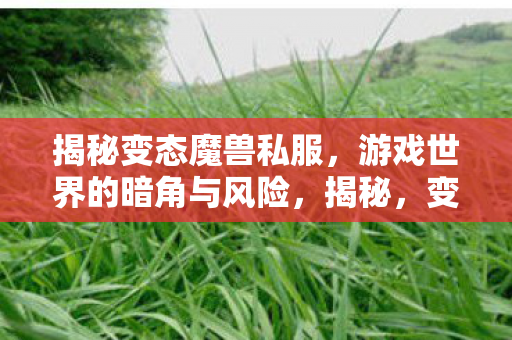 变态魔兽私服背后的游戏世界暗角与风险图片