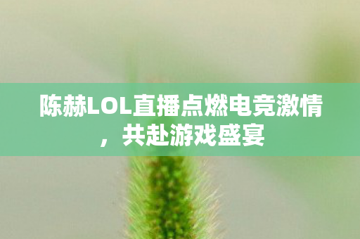陈赫LOL直播点燃电竞激情图片