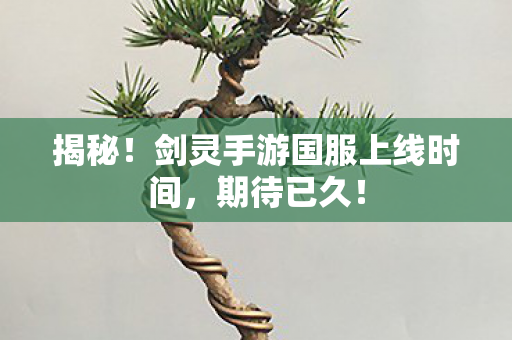 揭秘！剑灵手游国服上线时间，期待已久！