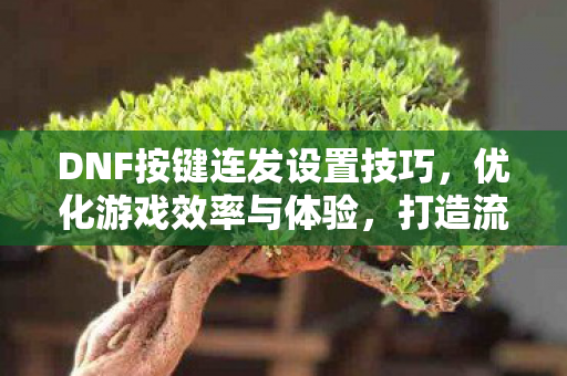DNF按键连发设置技巧图片