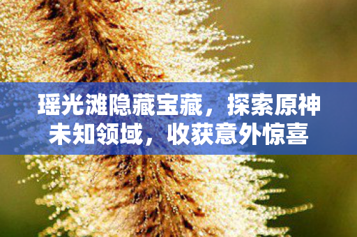 探索原神未知领域图片
