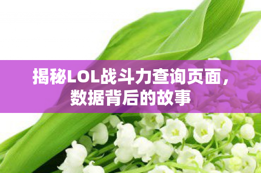 揭秘LOL战斗力查询页面图片