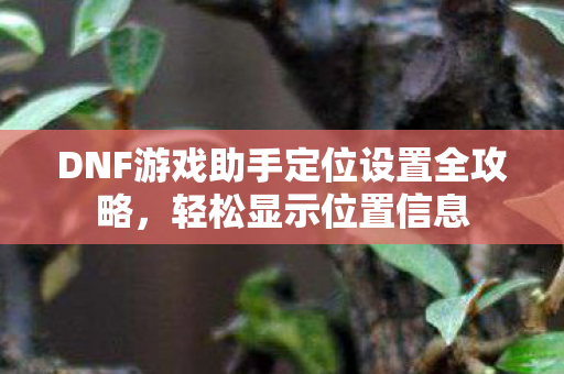 DNF游戏助手定位设置全攻略图片