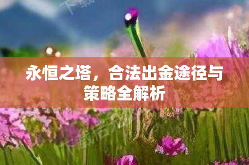合法出金途径与策略全解析图片